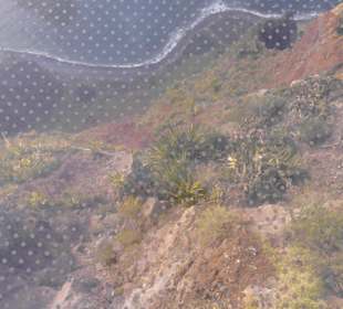 Durch das Sicherheitsglas.