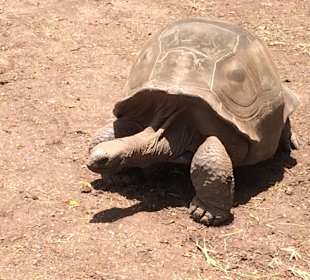 Le terres des (sept) couleures