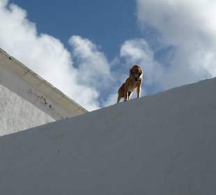 Altstadt Teguise