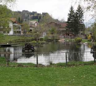 Scheibele Weiher