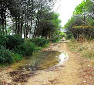 Ende September 2010 Inspirationen