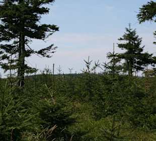 Am Horizont bildmittig, Turm auf der Tafelfichte