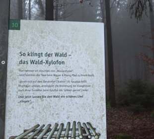 Wasser & Klang Pfad in Auernheim