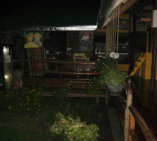 Blick in den hinteren Bereich mit Garten