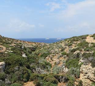 Eindrücke des Weges vom Tower zur blauen Lagune