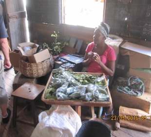 Frische Gewürze können gekauft werden