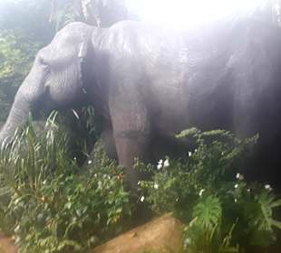 Singapur Zoo