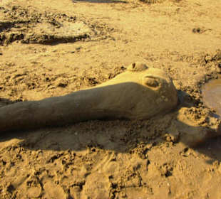 Vom Sunrise Richtung Side am Strand