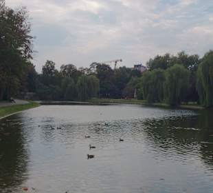 Staw w parku