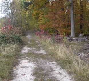 Herzog-Jäger-Pfad