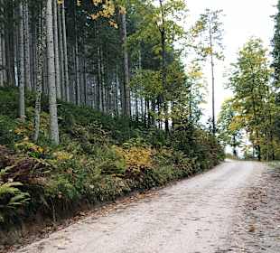 Wandern Radstadt