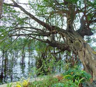 Hoan Kiem See in Hanoi