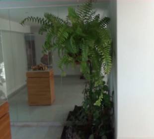 Fundacion Cesar Manrique