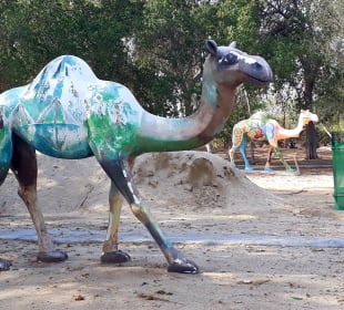 Al Areen Wildlife Park