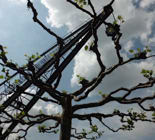 Frühling in Düsseldorf