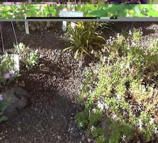 Botanischer Garten 