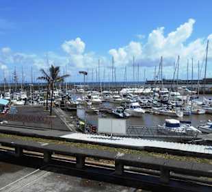 Hafen Funchal