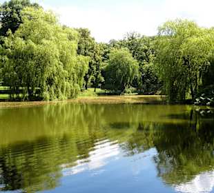 Teich im Schlosspark