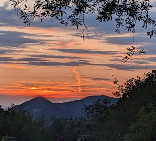 Inselrundfahrt Korfu