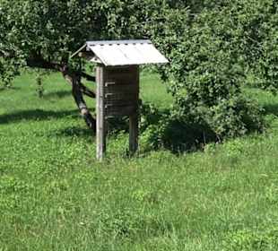 Eduard Lucas Musterobstgarten Mähringen