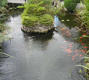 Restaurant Zloty Okon