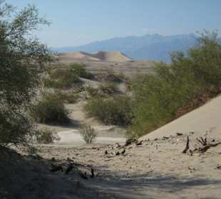 Sandünen im Death Valley