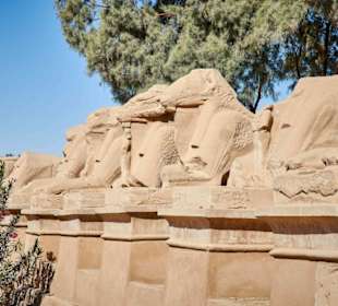 Extra Egypt Ausflüge