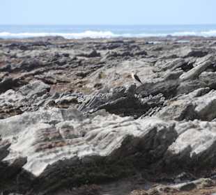 Bizarre Felsformationen am Ende des Strandes