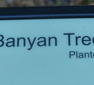 Schön angelegt und informativ