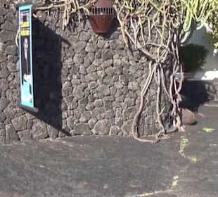 Fundacion Cesar Manrique