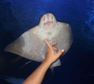 Röhren Aquarium Antalya 