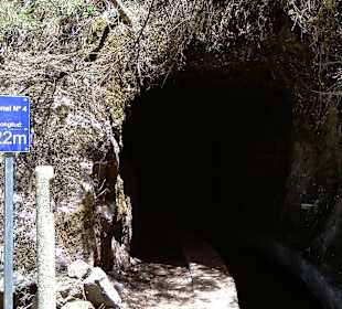 Manche kurz, manche lang