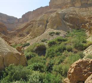 Wadi