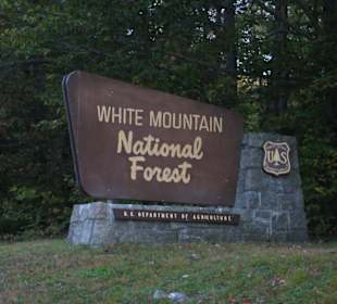 National Forest