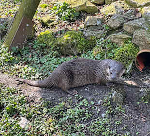 Tiergarten Straubing