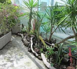 Das Schmetterlingshaus Villa Garzoni