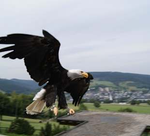 Wild- und Freizeitpark Willingen