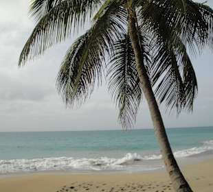 So etwas muss man gesehen haben