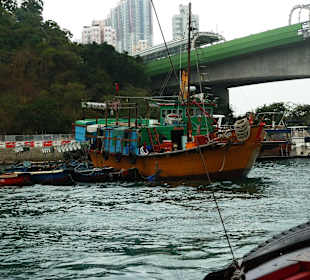 Hausboot im Hafen von Aberdeen