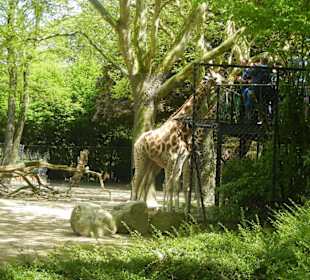 Tierpark Hagenbeck