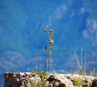 Burg von Alanya (Ic Kale) An&/Abfahrt