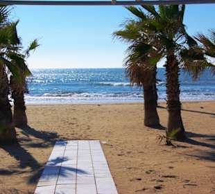 Aufgenommen am 29.11.2013