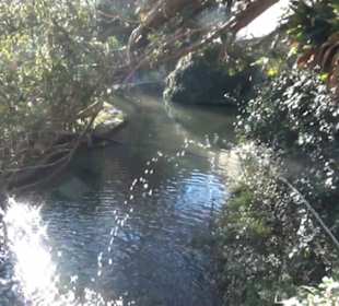 Gartenanlage - Botanischer Garten