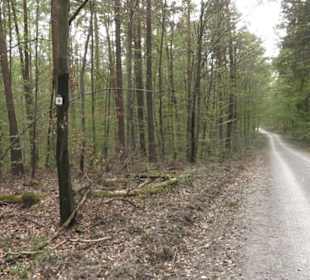 Wanderweg Firstwaldrunde