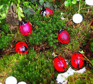 Osterbrunnen Großgeschaidt Marienkäfer