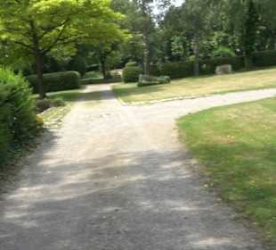 Friedhof Dußlingen