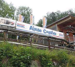 Alpine Coaster