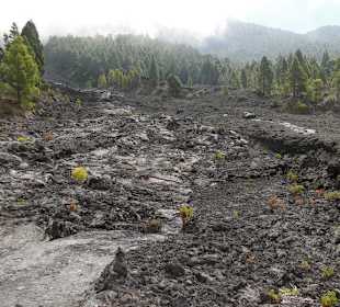 Cumbre Vieja / Lavastrom von San Nicolas