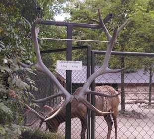 Tierpark Hagenbeck