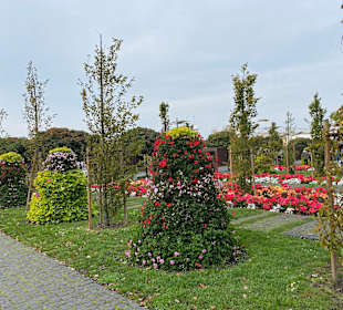 Kurpark Miedzyzdroje/Misdroy